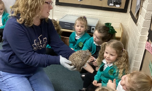 Woman holding a hedgehog to show children watching